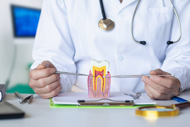 Best Emergency Root Canal Treatment in King, NC